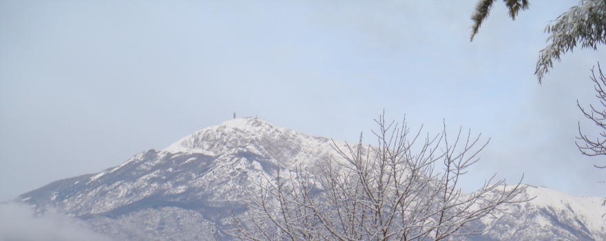 Bus rental Trentino